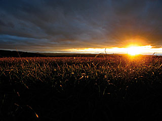 top_Energie_sonnenuntergang