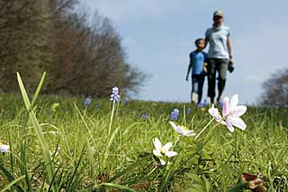 Karge Schönheit: Nicht einmal zehn Kilometer von Reutlingens Zentrum entfernt grüßt leise der Frühling der Alb.