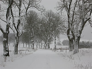 winter_truppenplatz_IMG_241