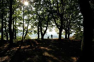 moessingen_3_fuerstensteig_aussicht_wandern_3BFW4667